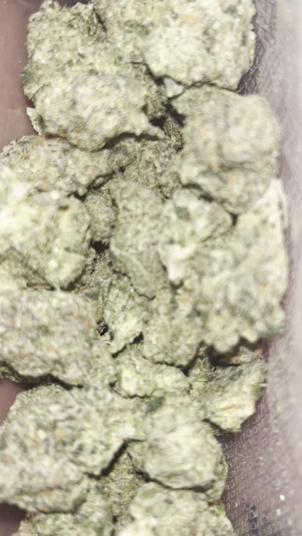 fruit fight cannabis weed strain video