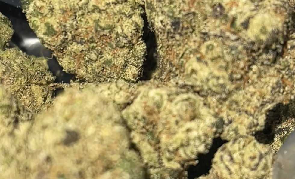 Miniatura: buddahs hand weed strain and weed delivery in maryland