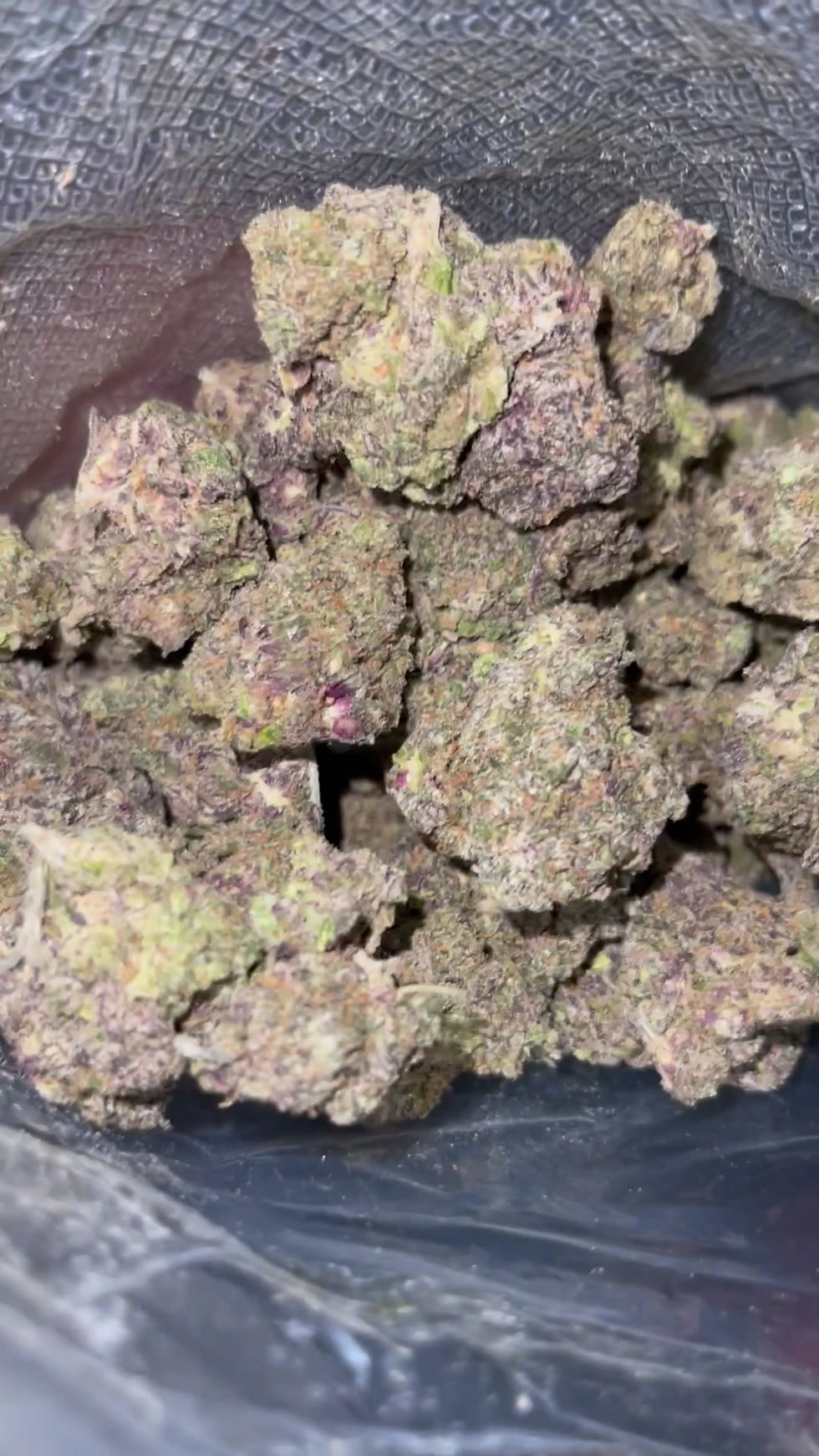 the space bee weed strain and dc weed delivery