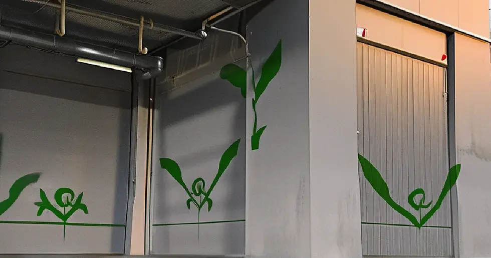 Hands organize hemp-derived cannabinoid inventory and testing supplies in a DMV fulfillment workspace preparing for policy changes.
