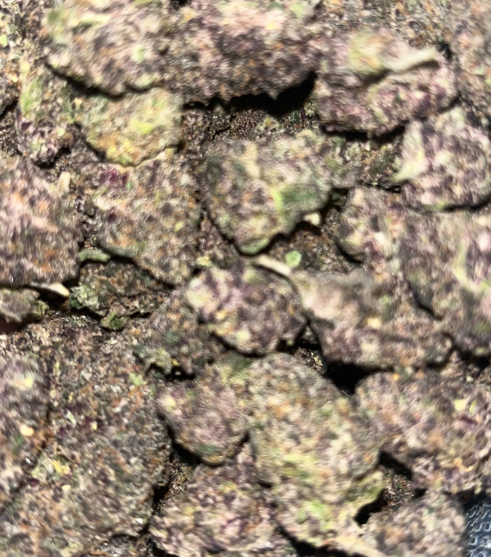 apple gelato weed strain picture