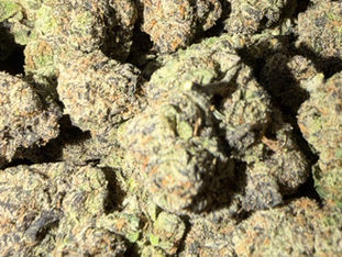 Strawberry Banana cannabis flower representing the appearance of Slurricane Strain Guide: Berry Cream x Heavy Relaxation x Home Grow