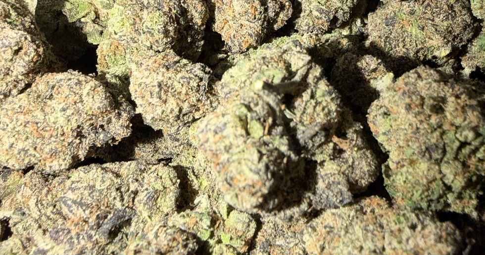 Strawberry Banana cannabis flower representing the appearance of Slurricane Strain Guide: Berry Cream x Heavy Relaxation x Home Grow