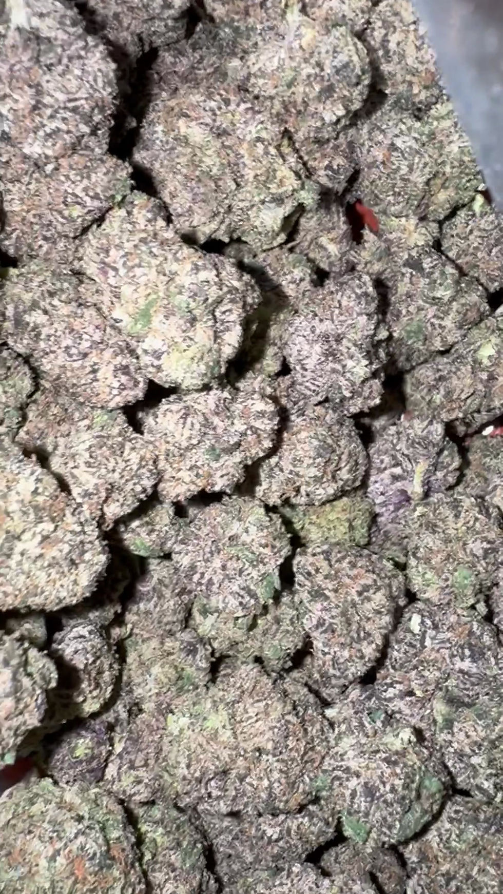 bubblegum weed strain and cannabis delivery in virginia