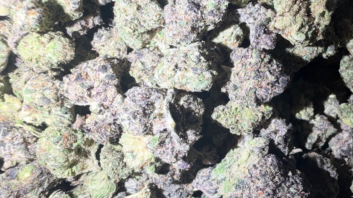 Bubblegumz flower from the Bud Lords menu