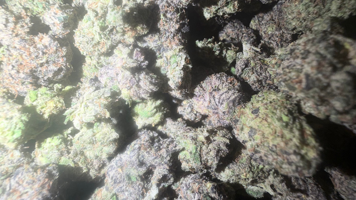 Blue Toadz flower from the Bud Lords menu