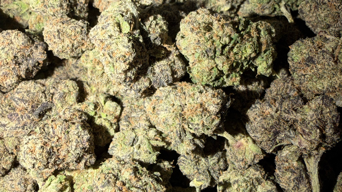 Vista de cerca de los cogollos de Strawberry Banana, donde se aprecian la cobertura de tricomas y el color