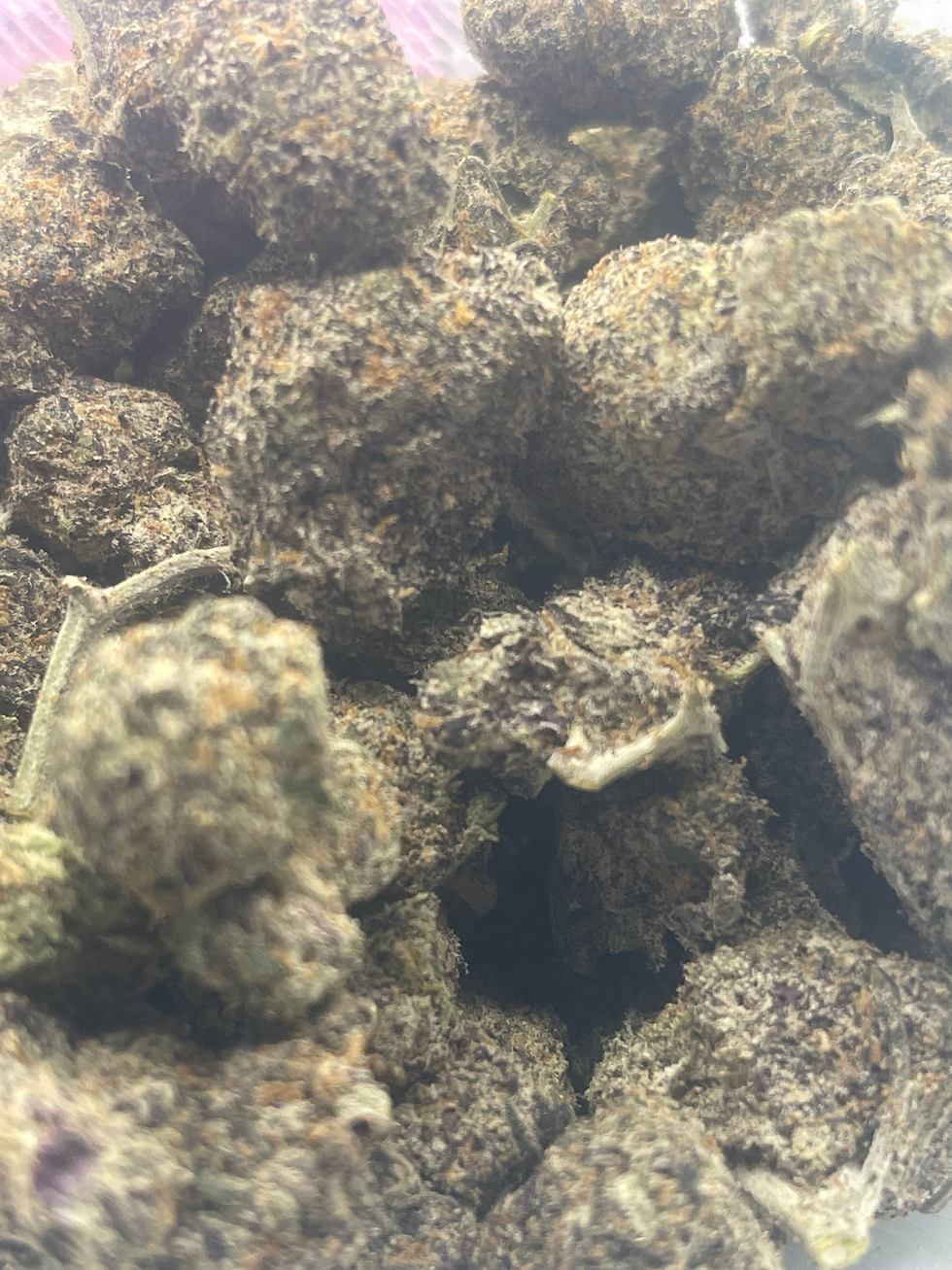 black girl magic weed strain