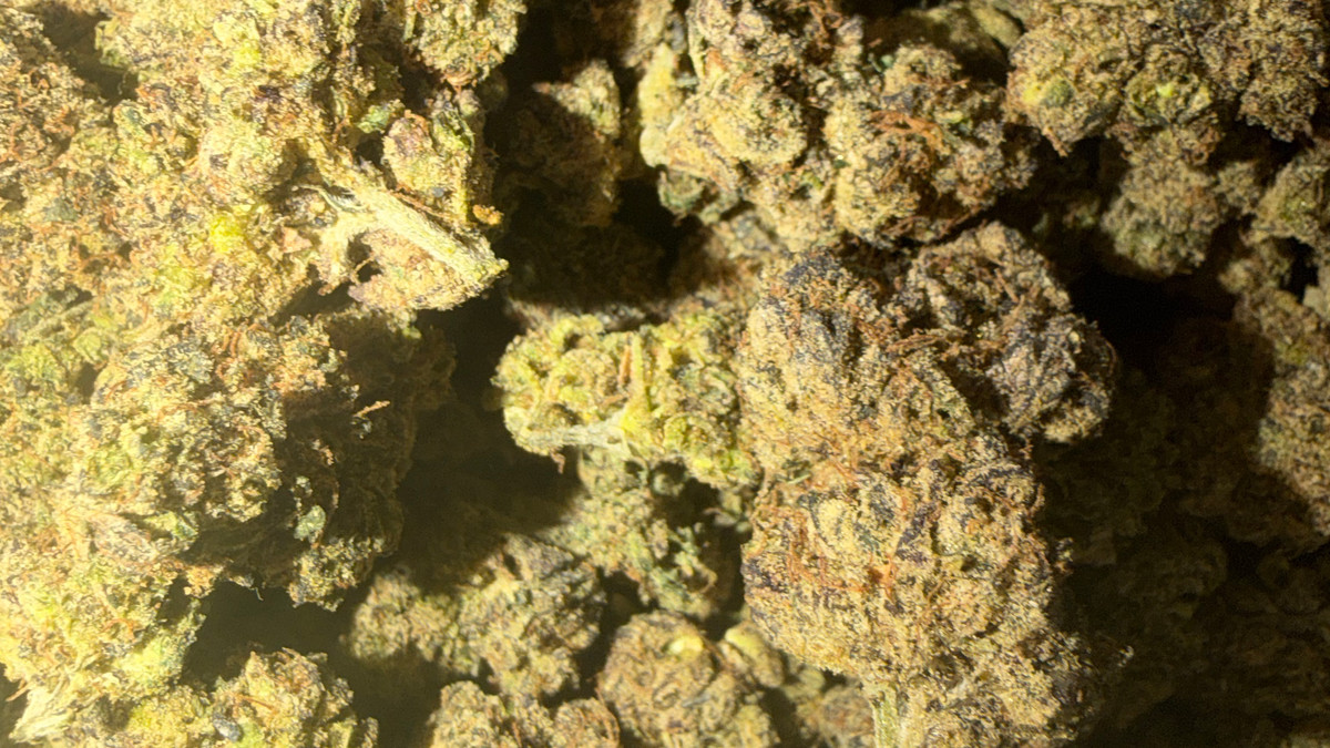 Close view of Kushlato buds showing trichome coverage and color