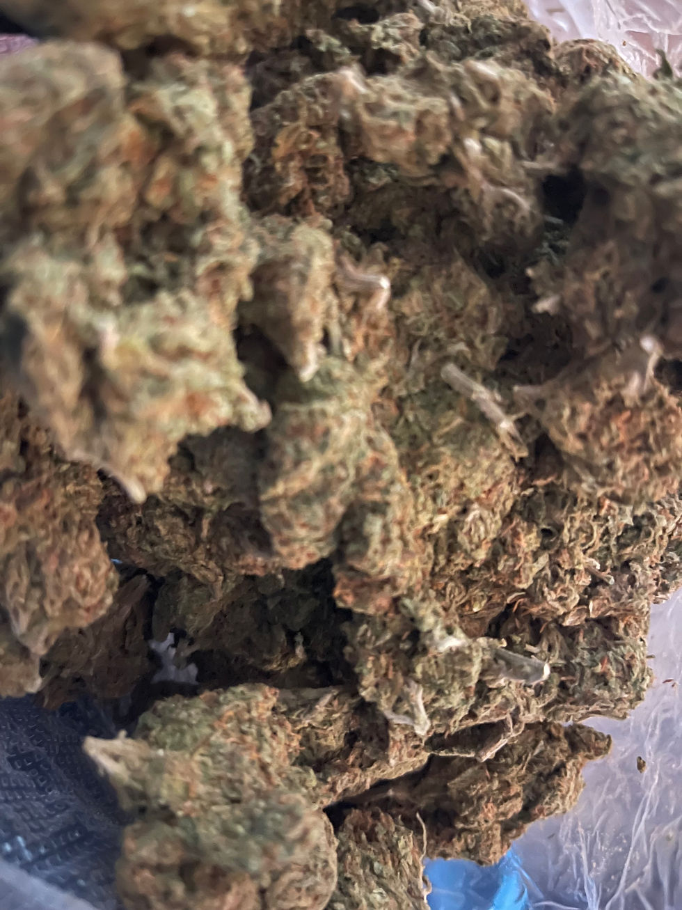 blue dream weed strain