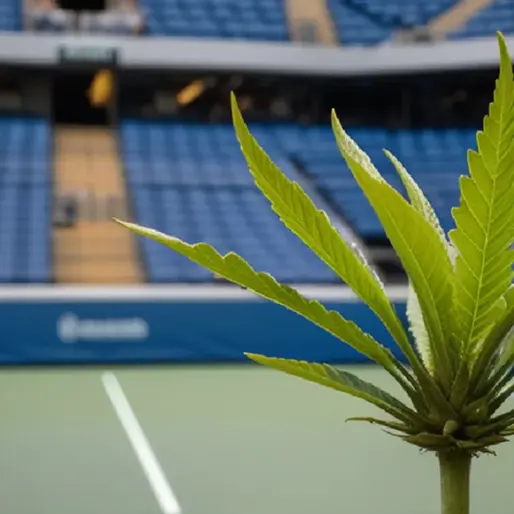 Tennis courts glow beside a hazy public park boundary, evoking the cannabis odor players noticed during night matches.
