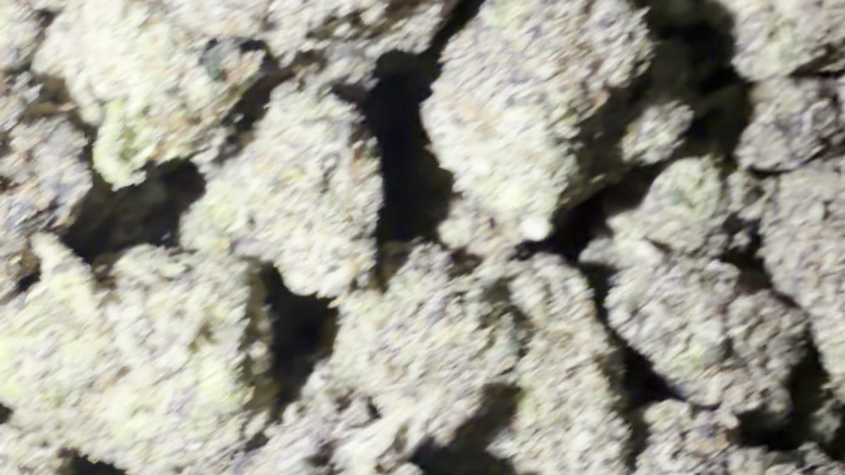 New Fire flower from the Bud Lords menu