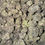 Miniatura: strawberry cheesecake weed strain and cannabis delivery in washington dc baltimore maryland and virginia