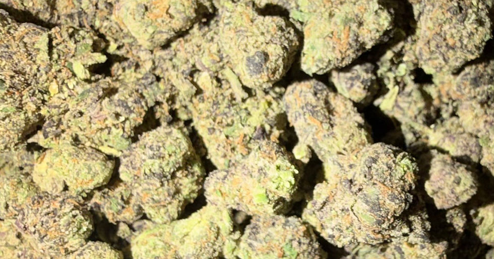 Rainbow Toads cannabis flower representing the appearance of Kush Mints Strain Guide: Minty Flavor x Relaxed Effects x Indoor Grow