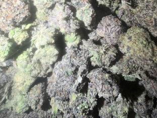 Blue Toadz cannabis flower representing the appearance of Pure Michigan