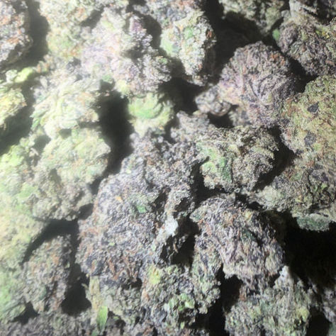 Blue Toadz cannabis flower representing the appearance of Pure Michigan