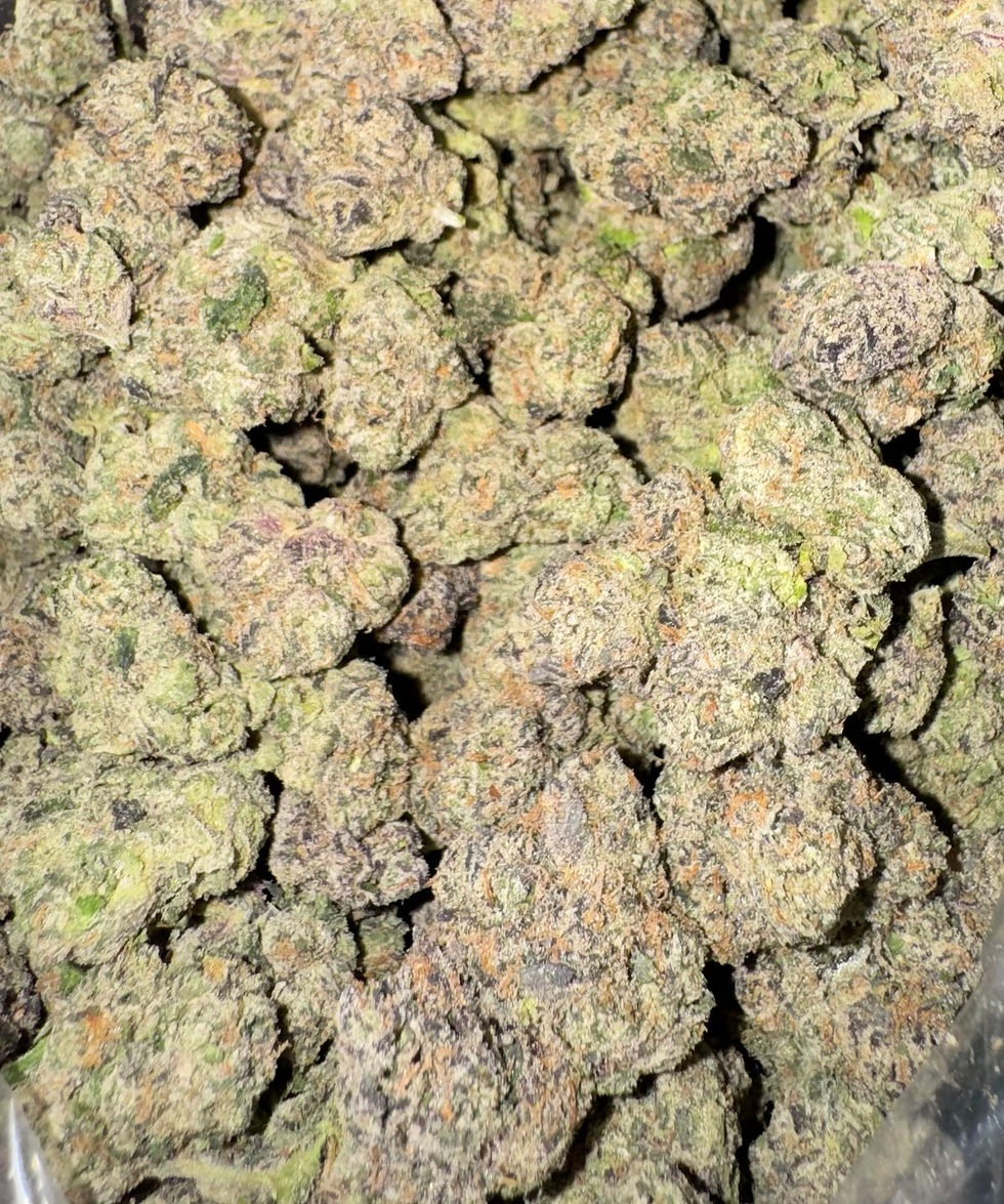 guava berry weed strain