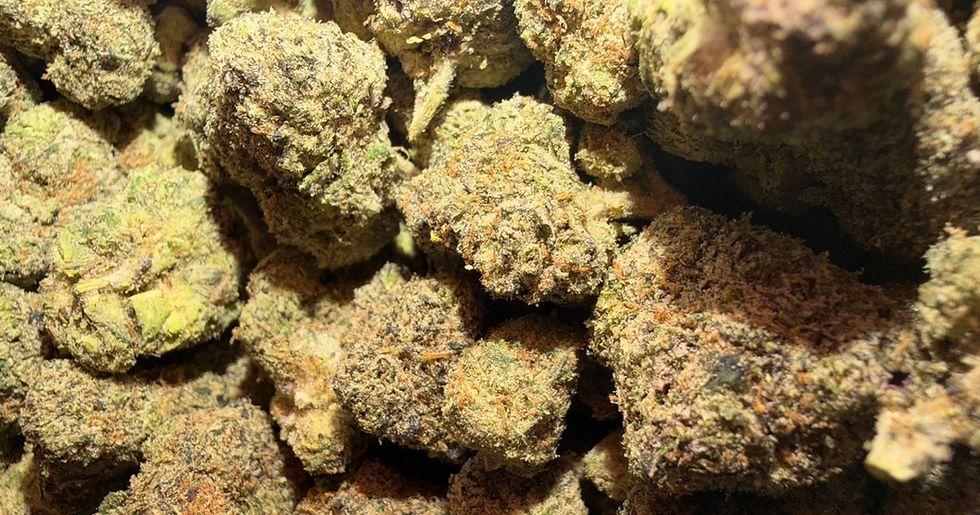 Redd Bullz cannabis flower representing the appearance of Mac 1 Strain Guide: Creamy Citrus x Uplifting Focus x Careful Growing