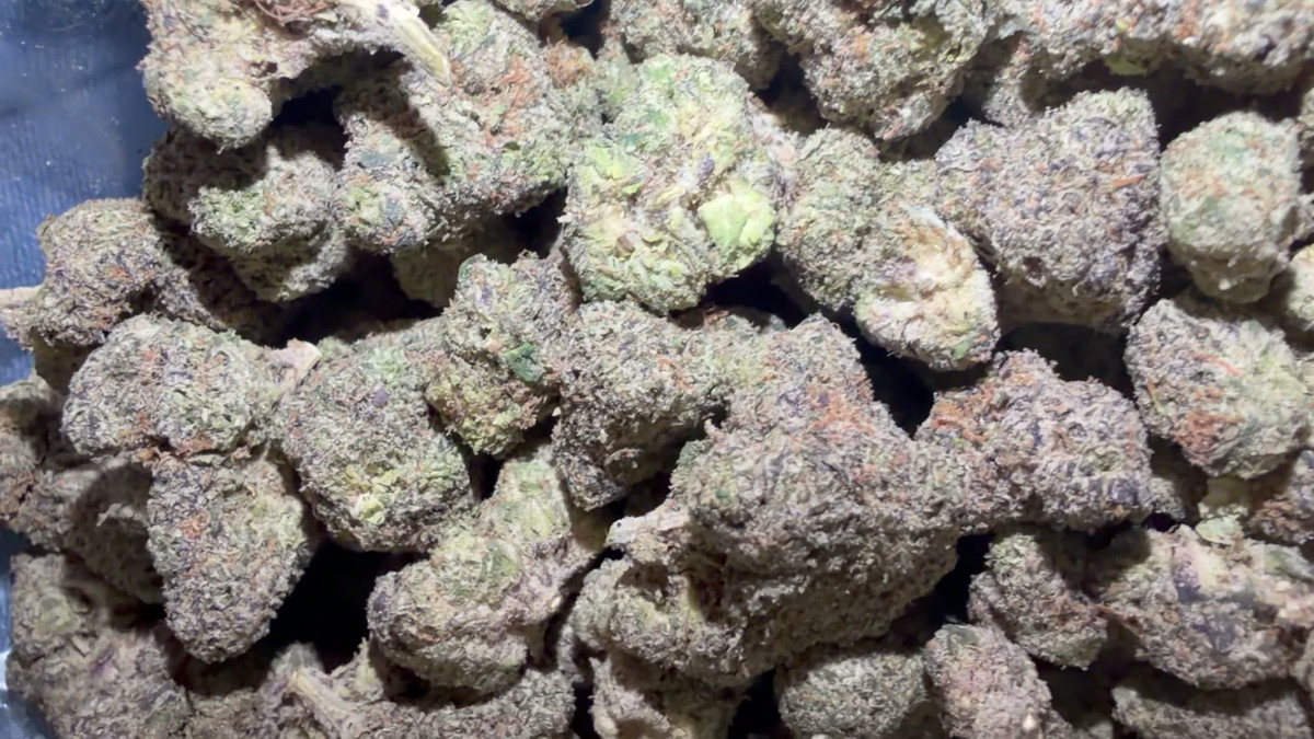 Close view of Redd Bullz buds showing trichome coverage and color