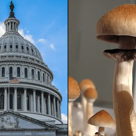 Bipartisan Psychedelics Plan for Safer Therapeutic Access