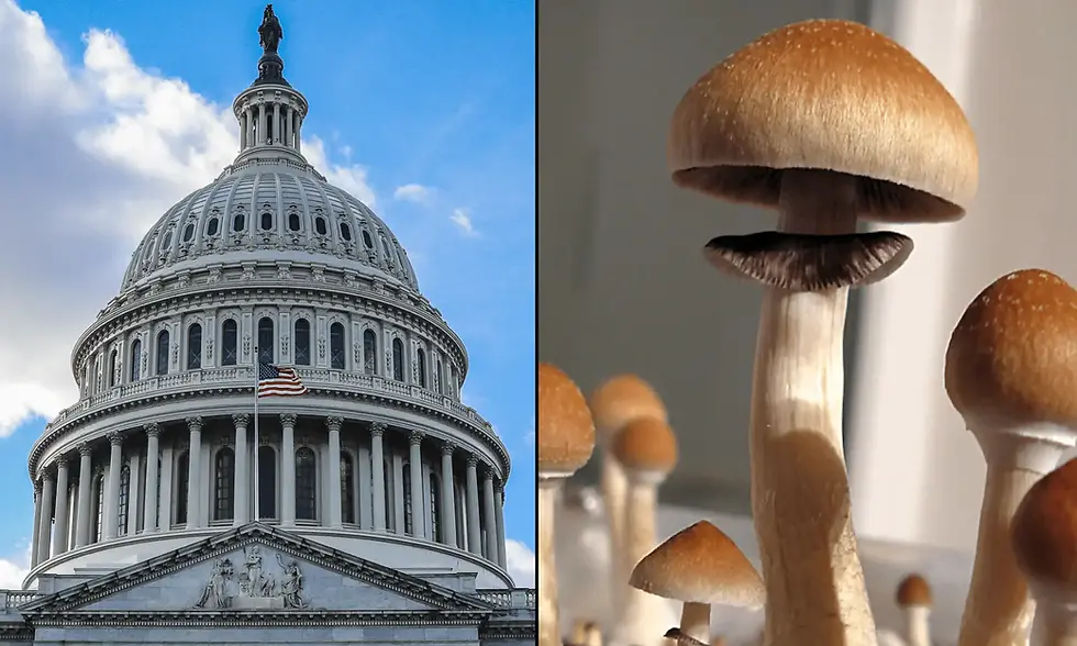 Bipartisan Psychedelics Plan for Safer Therapeutic Access