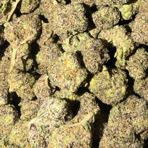 New Fire cannabis flower representing the appearance of Carbon Fiber Strain Guide: Gassy Flavor x Balanced Effects x Careful Growing