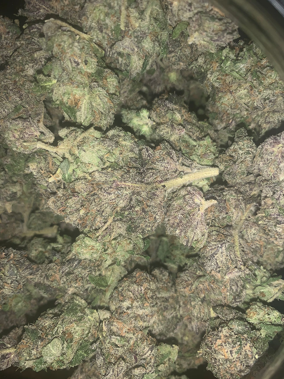 Grandiflora Cannabis Strain Pic 1 Bud Lords