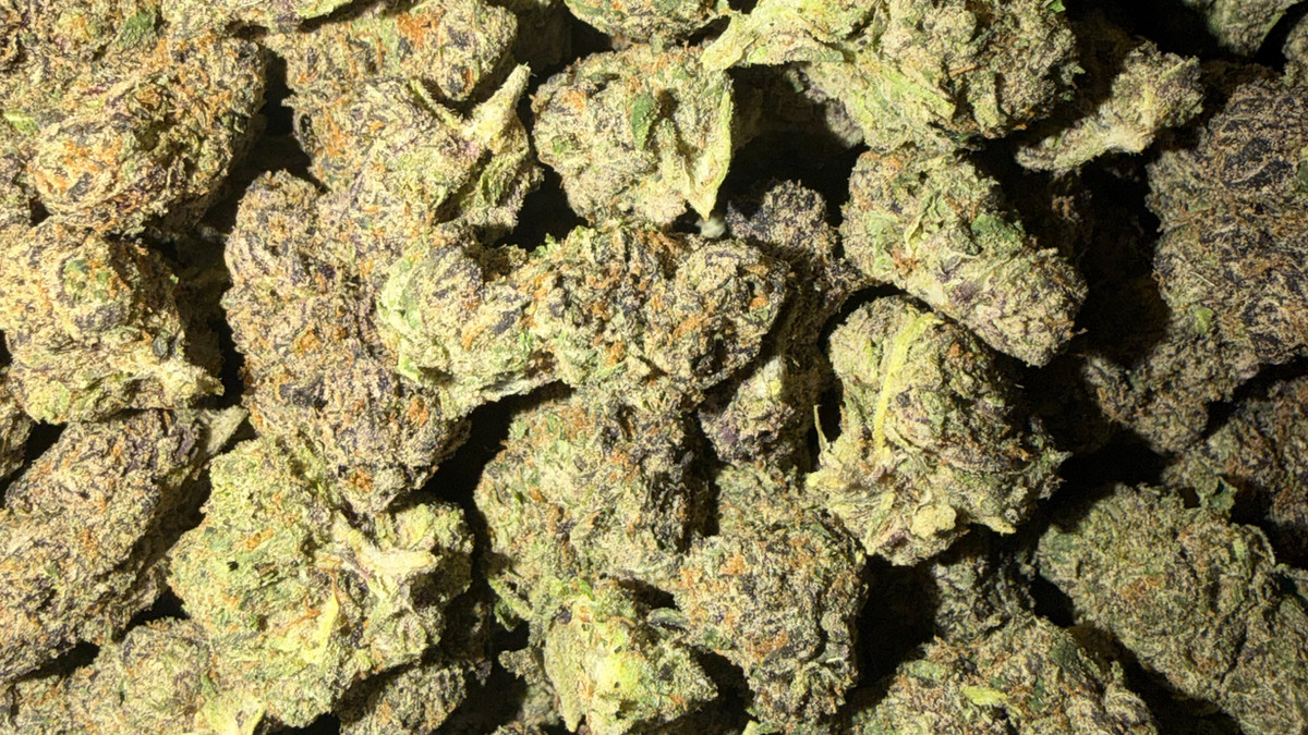 Close view of Space Donuts buds showing trichome coverage and color
