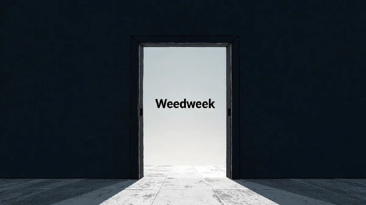 A DMV cannabis operator manages secure business infrastructure, showing a practical opportunity for resilient delivery ventures.