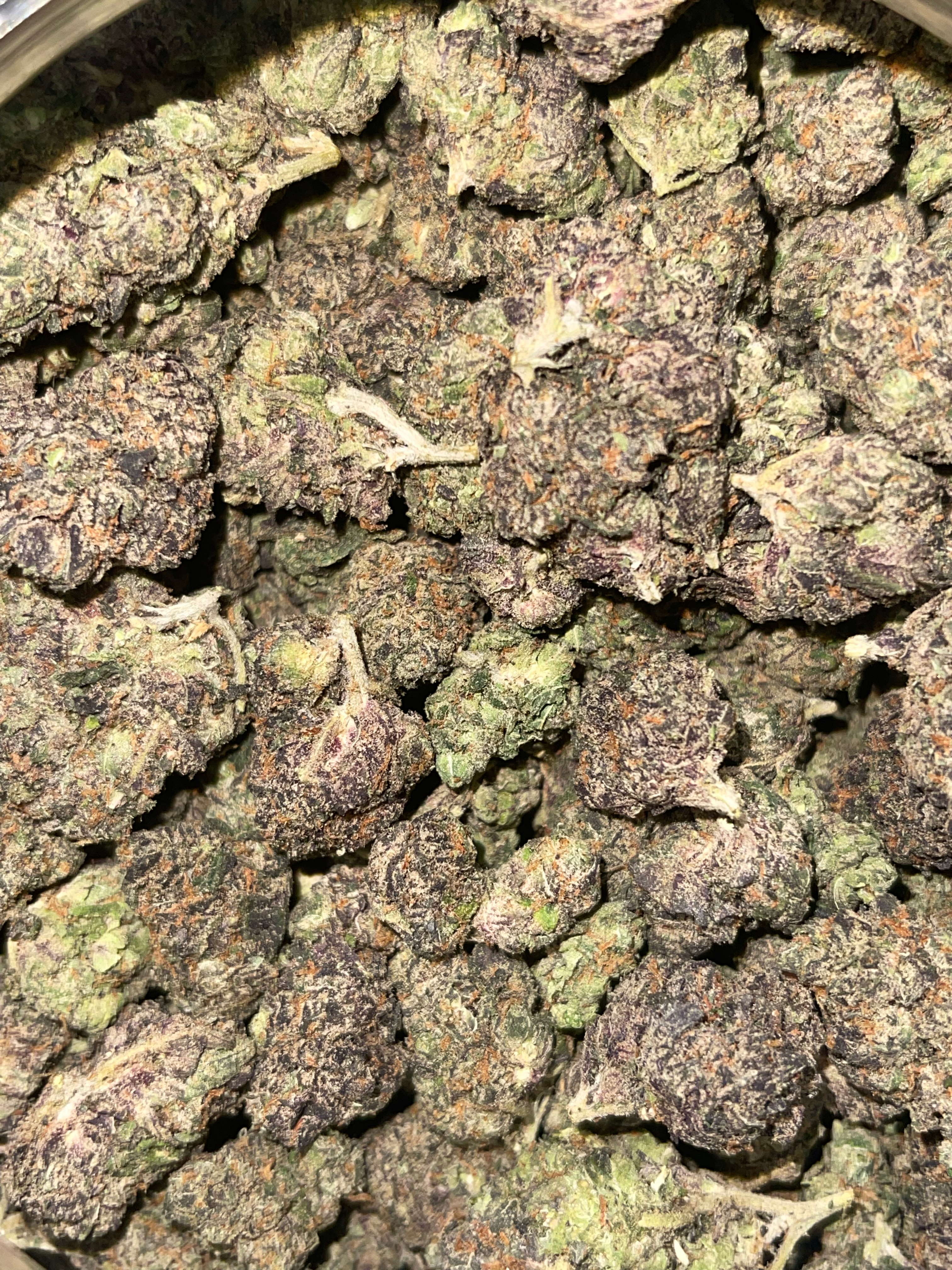 blue gelatti weed strain