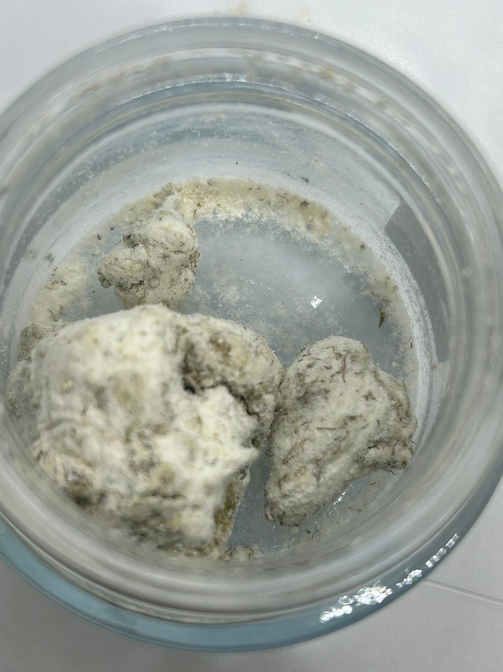 Powdered Donuts infused cannabis
