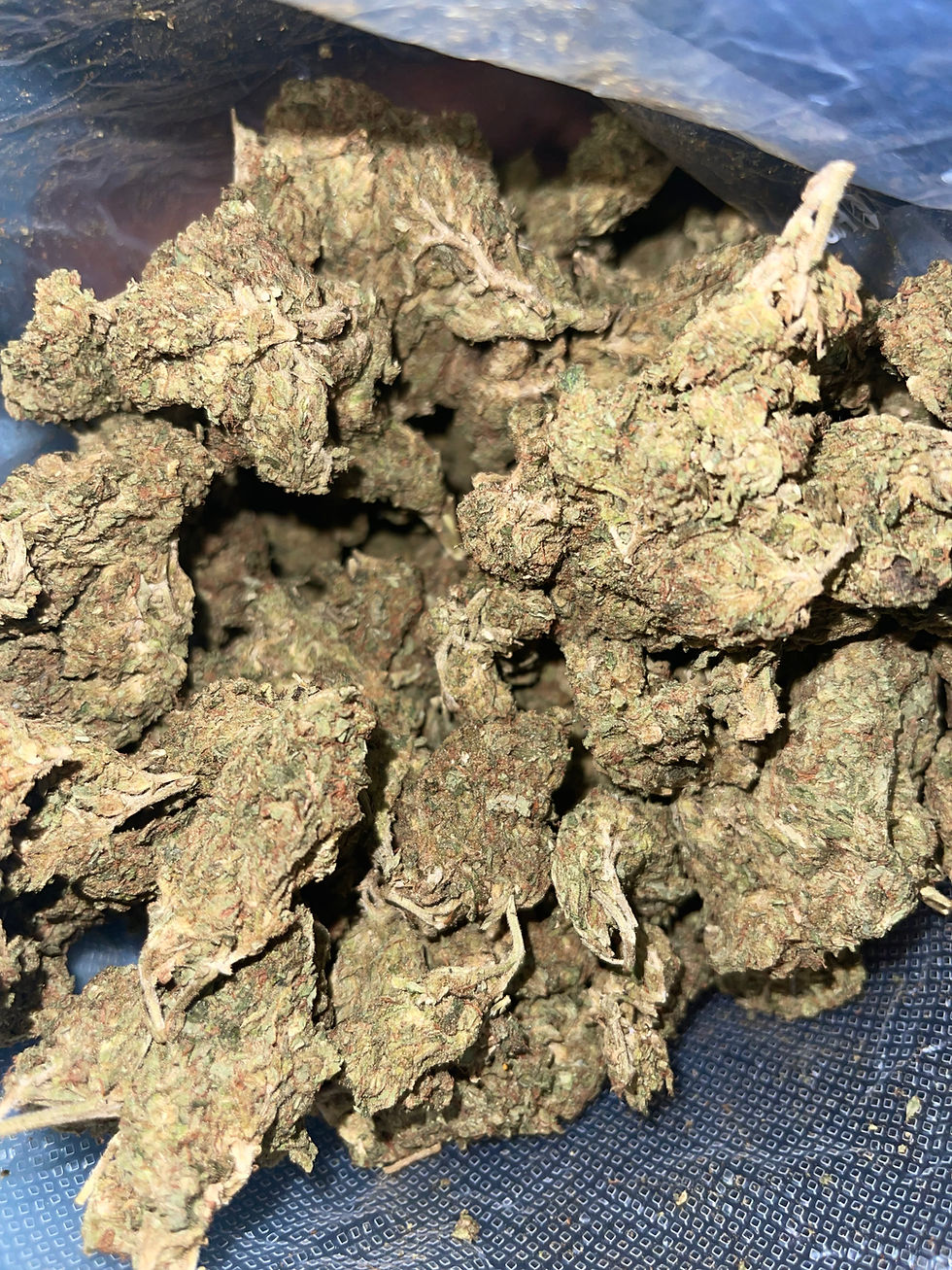gg4 gorilla glue weed strain