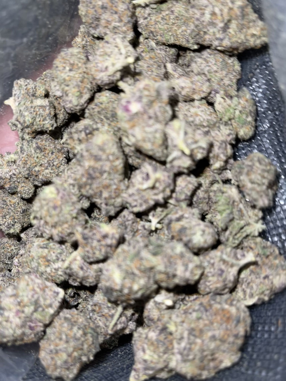 hall of fame weed strain and weed delivery in maryland