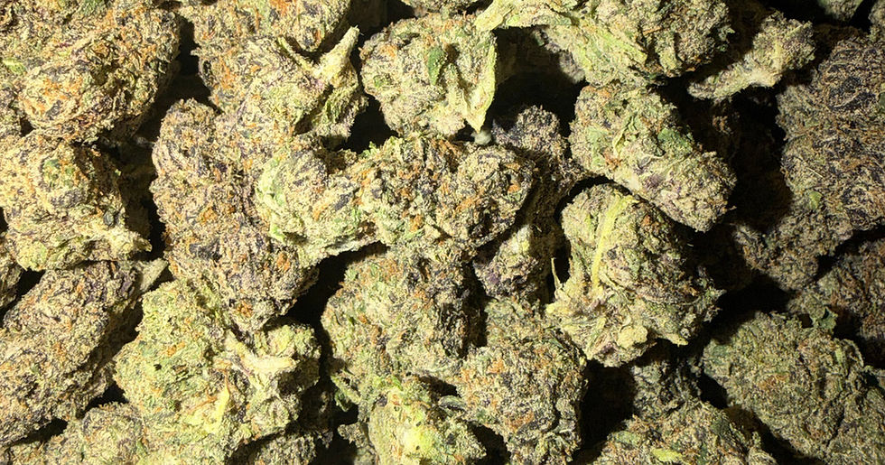 Space Donuts cannabis flower representing the appearance of Baja Blast Strain Guide: Citrus Flavor, Euphoric Effect & Expert Grow Tips