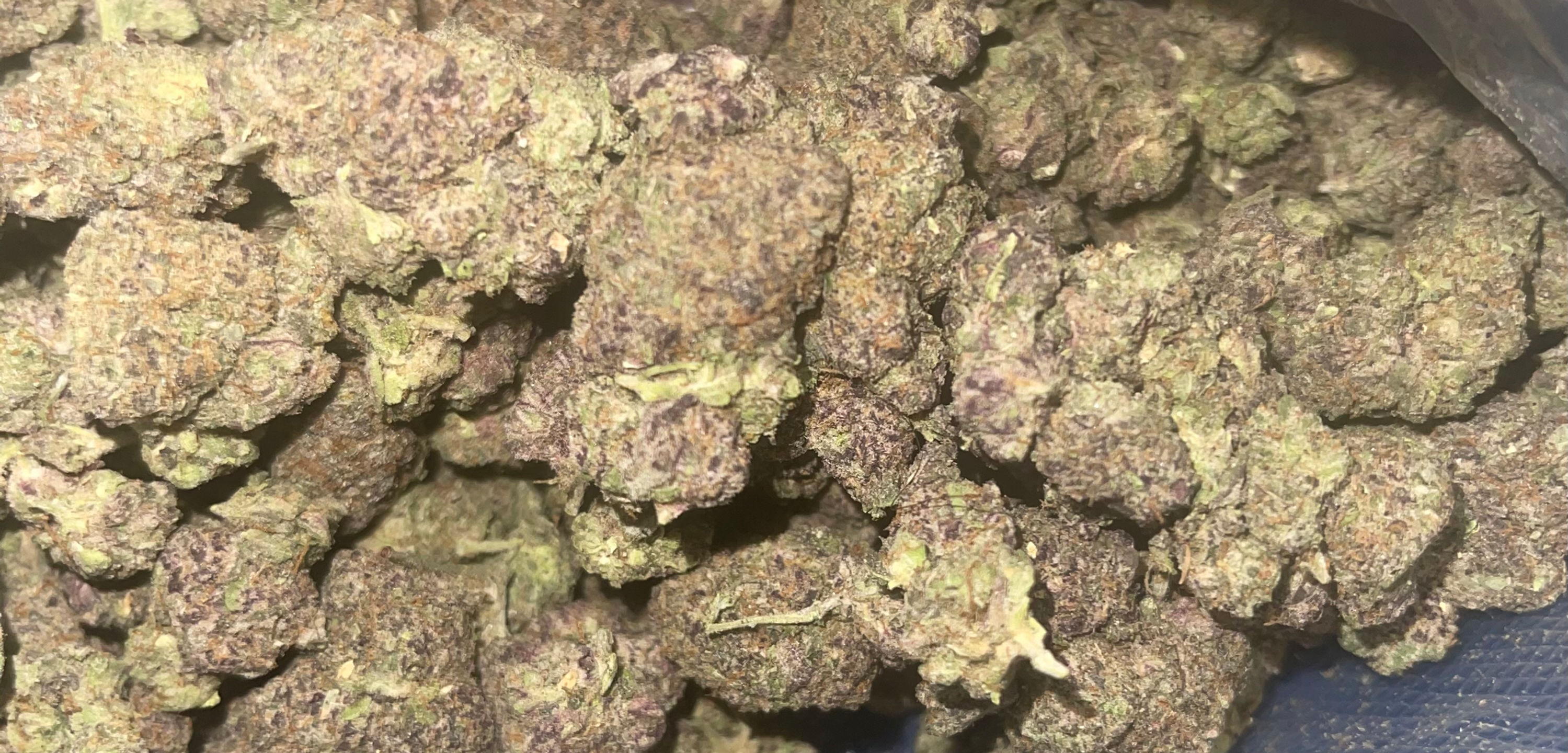 apple jack weed strain