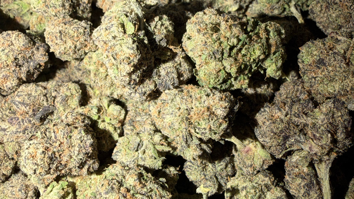 Close view of Strawberry Banana buds showing trichome coverage and color
