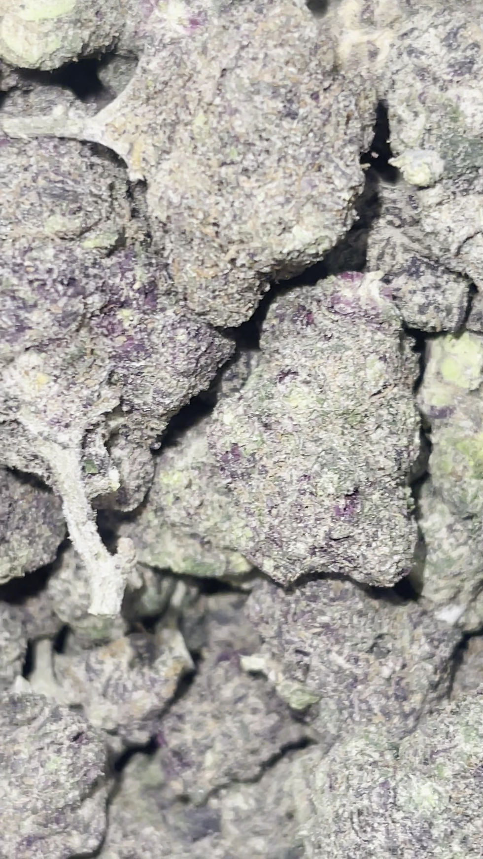 banana bread weed strain