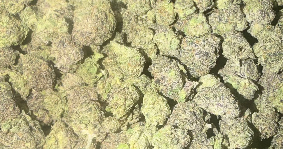 Blue Toadz cannabis flower representing the appearance of Dante'S Inferno Strain Guide: Creamy Flavor x Relaxed Effects x Careful Growing