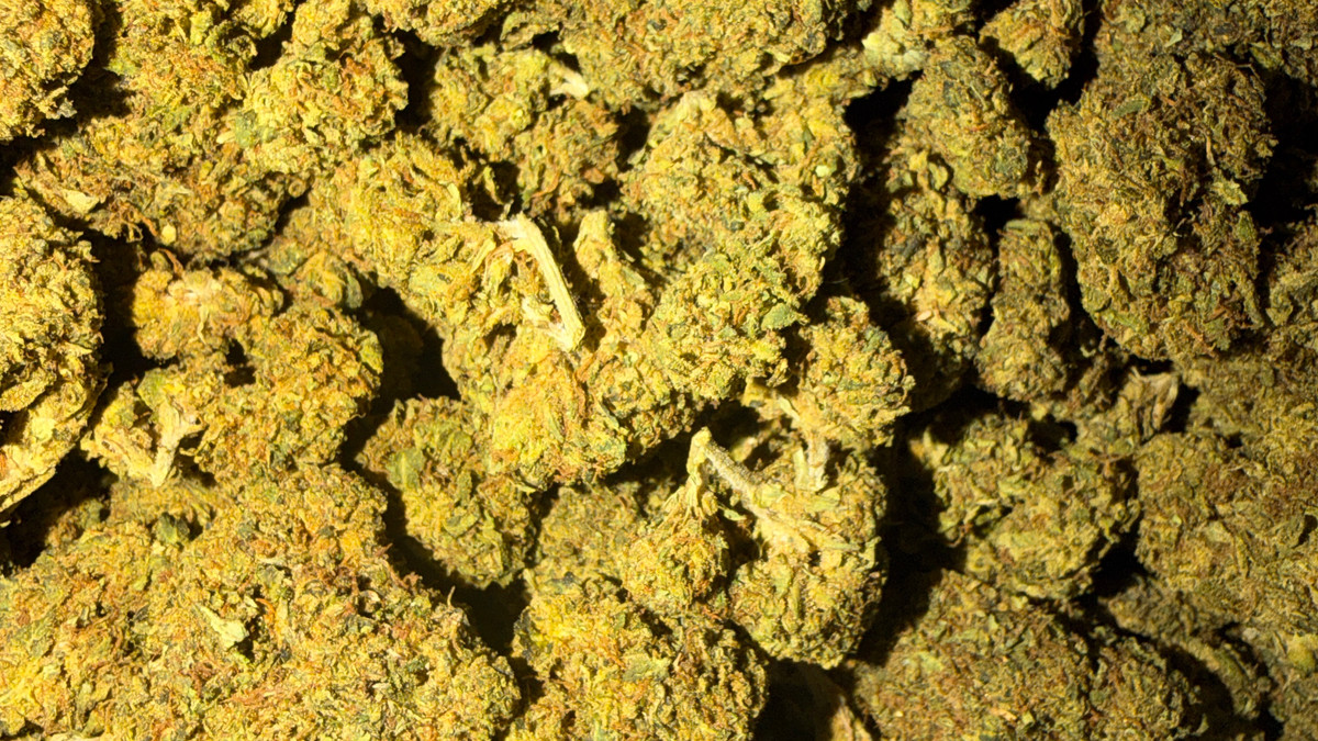 Cherry Nova flower from the Bud Lords menu