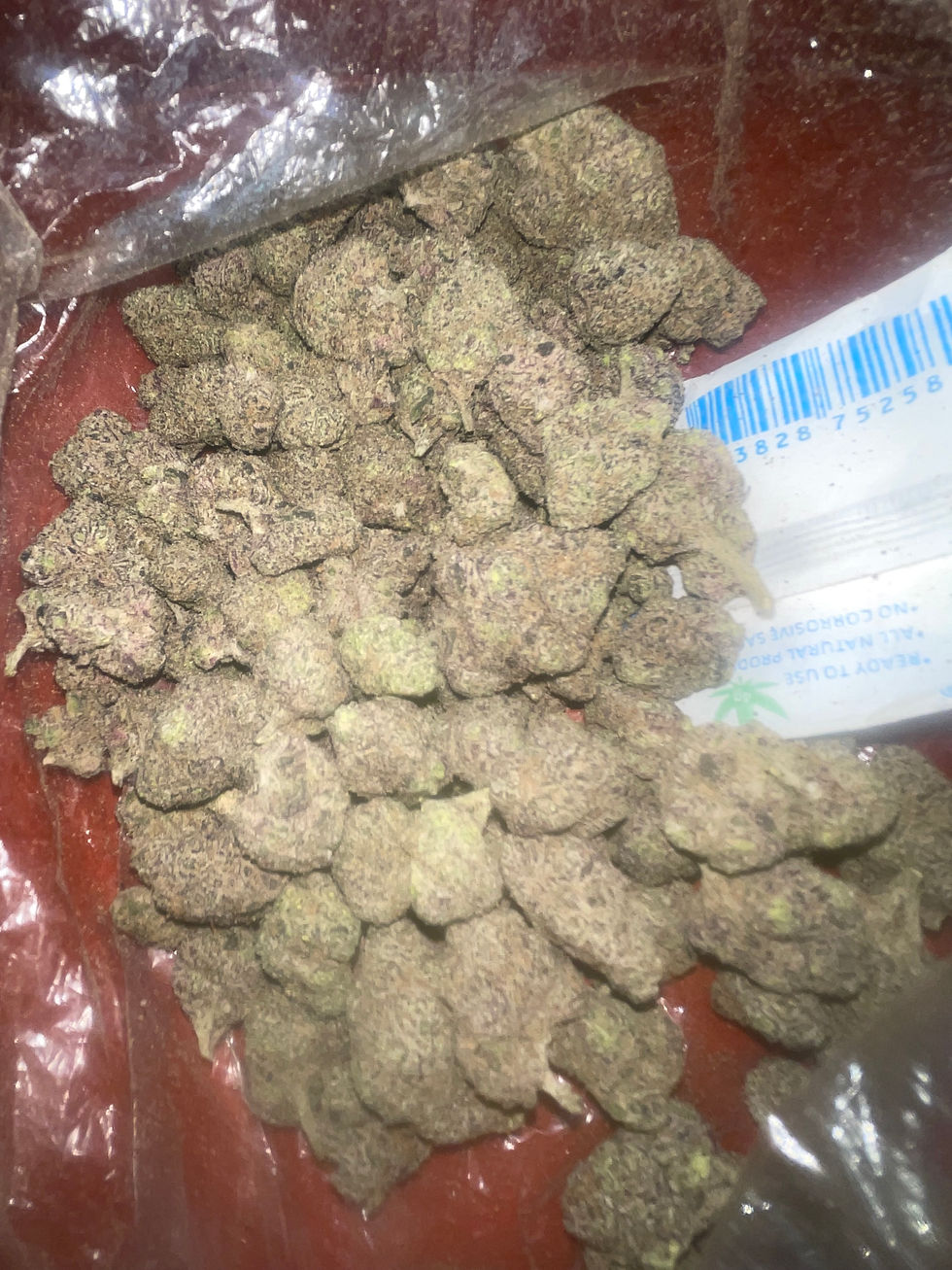 blue raspberry slushy weed strain