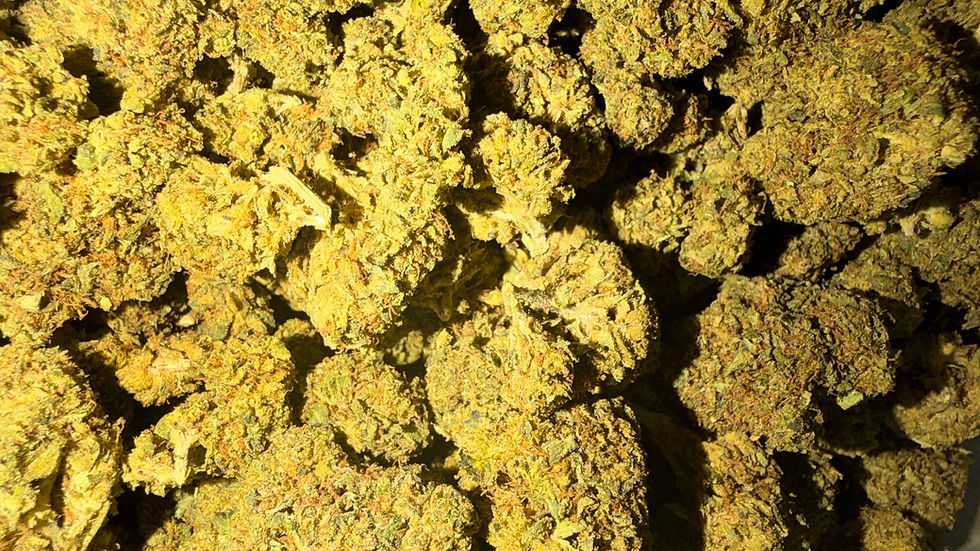 Shelves inside a legal Maryland cannabis dispensary stocked with compliant packaged products