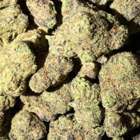 Rainbow Toads cannabis flower representing the appearance of White Truffle Strain Guide: Creamy Flavor x Deep Calm x Careful Growing