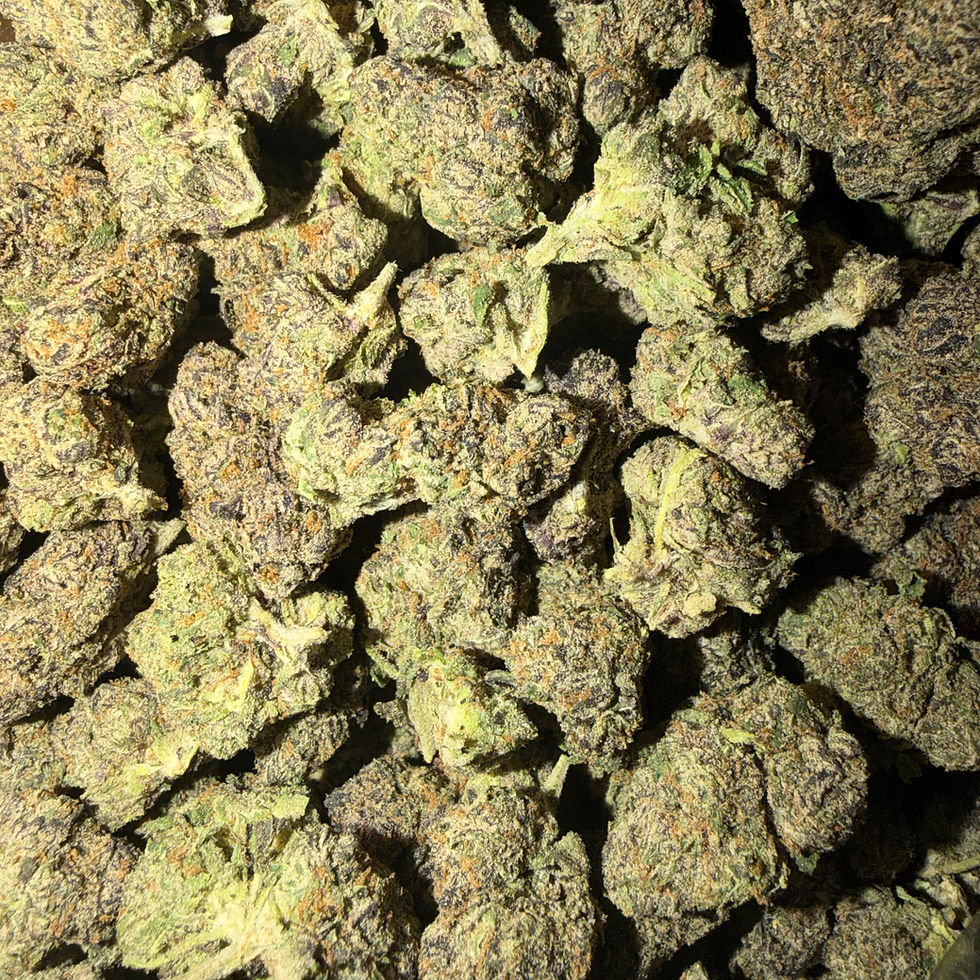 High-grade cured flower showcasing exotic hybrid strains