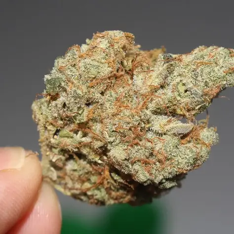 New York Legal Cannabis Sales Top $4.1 Billion