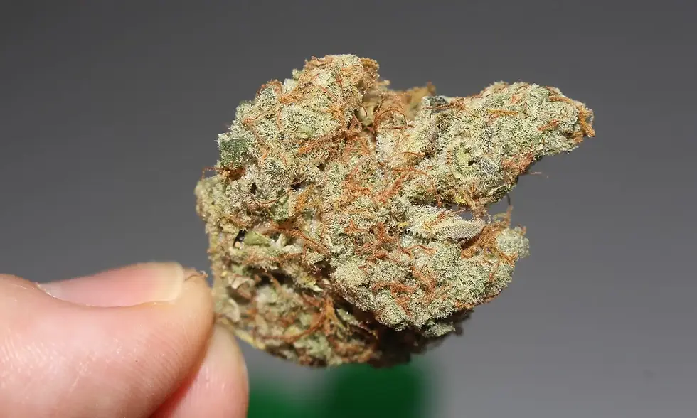 New York Legal Cannabis Sales Top $4.1 Billion