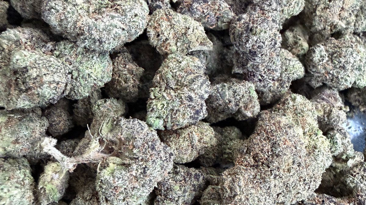 Hazelnut Warhead flower from the Bud Lords menu