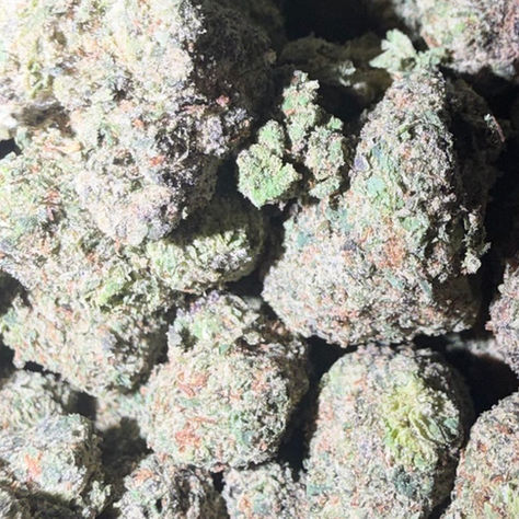 Cereal Crunch cannabis flower representing the appearance of Sunset Sherbet Strain Guide: Sweet Flavor x Balanced Effects x Colorful Grow
