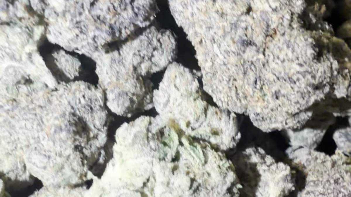 Space Donuts flower from the Bud Lords menu