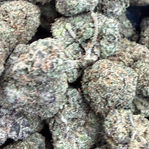 Hazelnut Warhead cannabis flower representing the appearance of Red Runtz Strain Guide: Berry Candy x Relaxed Effects x Practical Growing