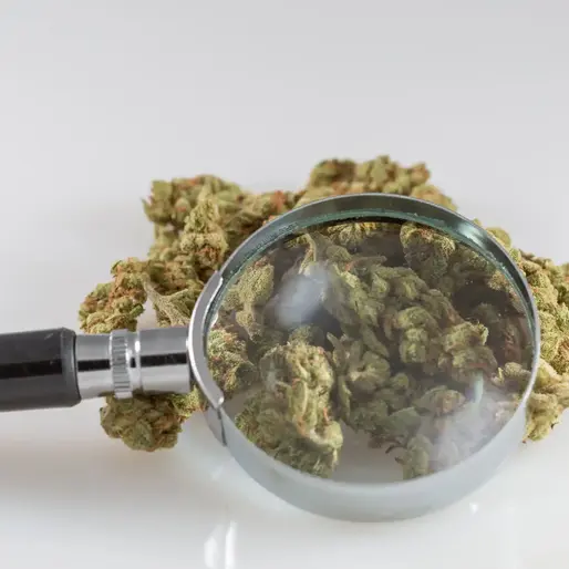 Bomb tech to breath tests: NIST’s cannabis breathalyzer